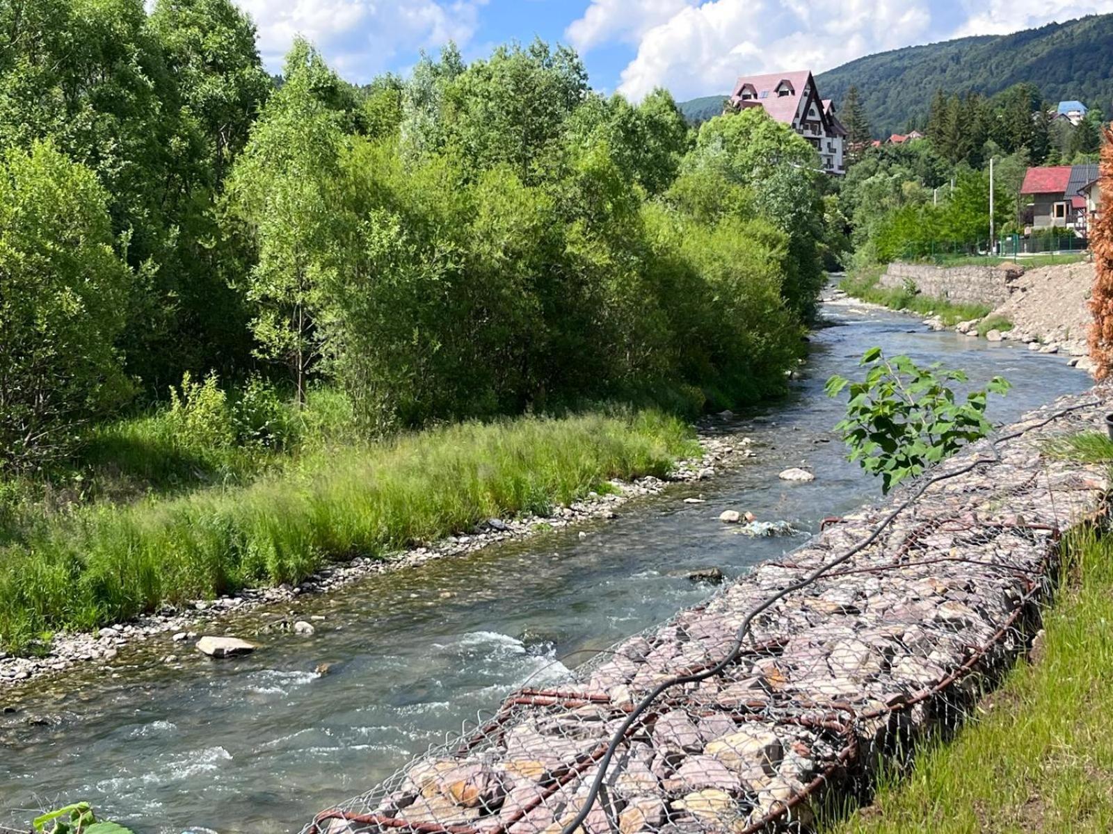 Cozy Riverfront Apartments With Garden And Mountain View Буштені Екстер'єр фото
